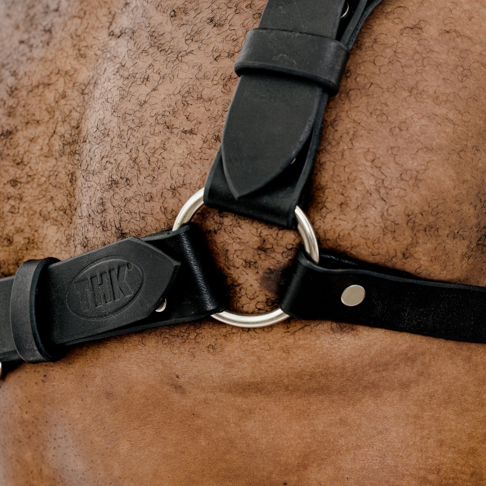 Sling Harness - Black - THK